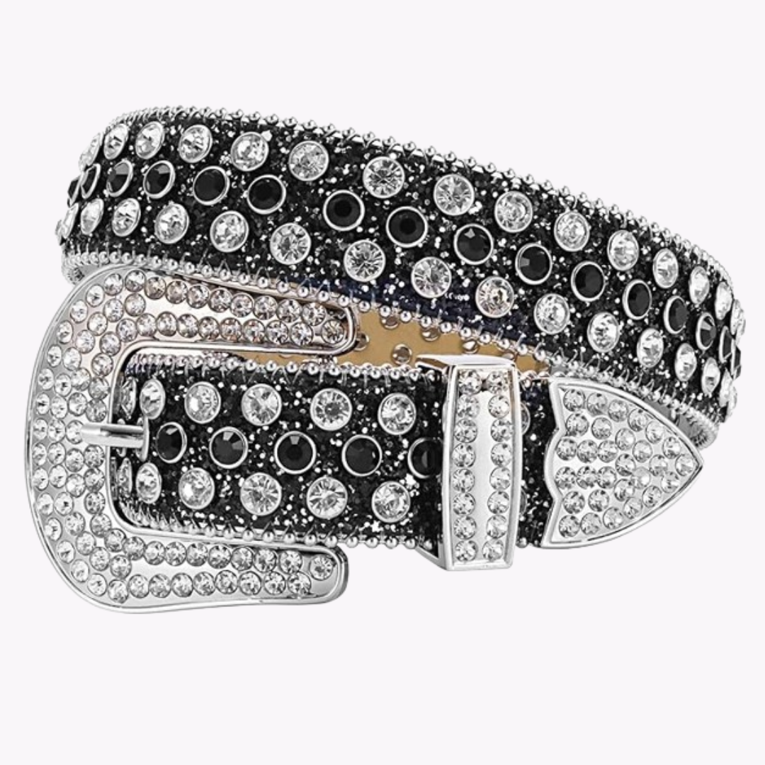 Lustrous Belt - Black & Silver