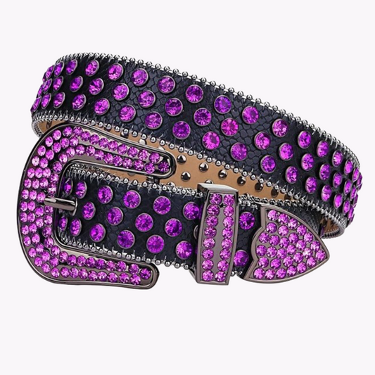 Lustrous Belt - Black & Purple